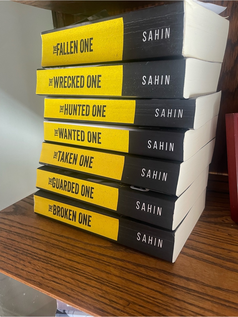 The Falcon Falls Security Series- Complete Set Author Brittney Sahin